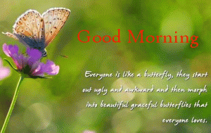 Butterfly Good Morning Images With Quotes
