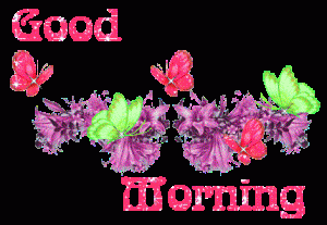 Good Morning Glitters Images Photo Pics Wallpaper Download