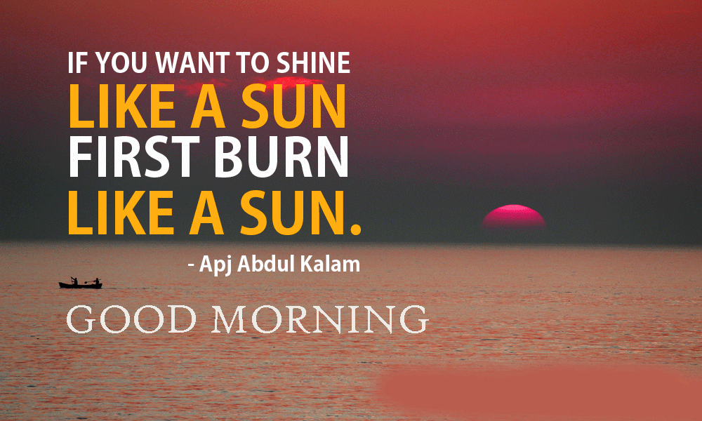 87+ Good Morning My Sunshine Quotes Images Free Download