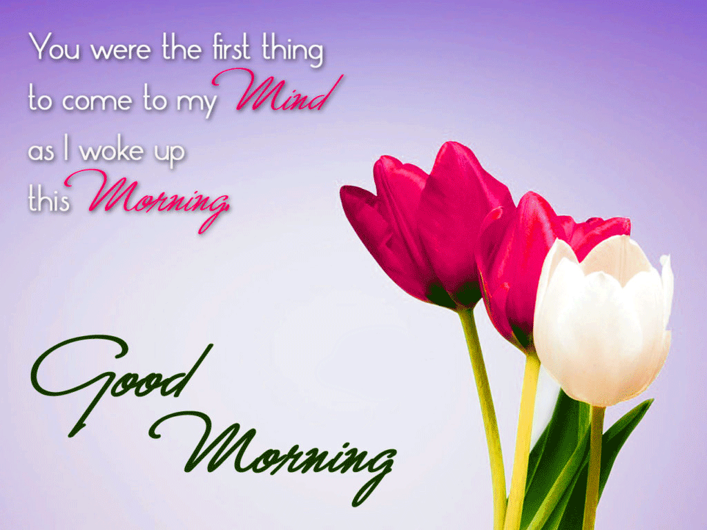 73+ Good Morning Wishes Images Photo For Princess