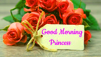 73+ Good Morning Wishes Images Photo For Princess