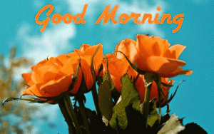 With Flower Friday Good Morning Images Photo Pictures Download