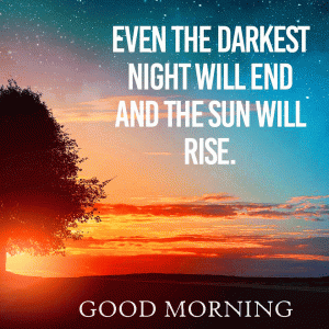 Good Morning My Sunshine Quotes Wallpaper Free Download