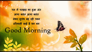 Butterfly Good Morning Photo Pics In Hindi