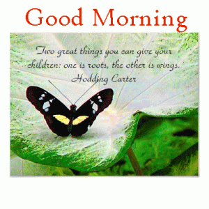 Butterfly Happy Good Morning Photo Pics Free Download