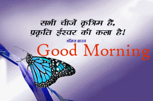 Butterfly Happy Good Morning Photo Pics For Whatsaap