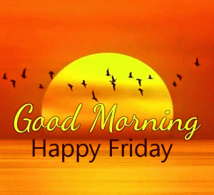 Happy Friday Good Morning Images Photo Pics For Whatsaap