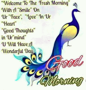 Punjabi Language Good Morning Photo Pics Download