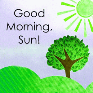 Sun good morning artistic images Photo free Download