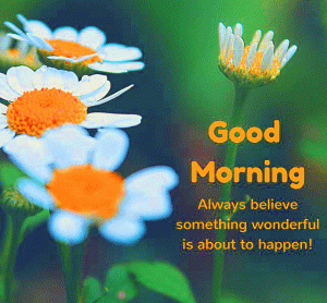 Wonderful Good Morning Pictures With Quotes
