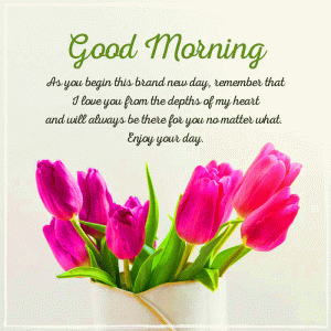 Flower start your day Good Morning Photo Pics With Quotes