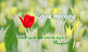 Special Good Morning Images With red flower