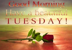 Tuesday Good morning Photo pics Free Download For Whatsaap