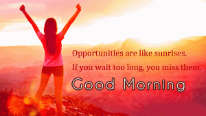 Good Morning My Sunshine Quotes Photo Pictures Free Download