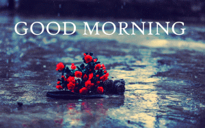 Rainy Day Good Morning Photo Pictures Download