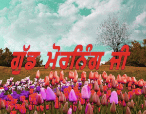 Punjabi Language Good Morning pictures Download 