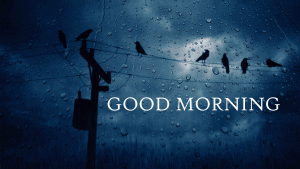 Rainy Day Good Morning HD Wallpaper Download For Whatsaap