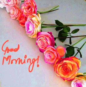 Punjabi Language Good Morning Photo Pics With Red Rose 