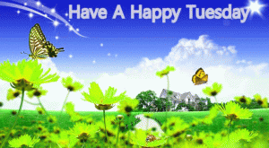 Tuesday Good Morning Photo Pictures Download For Whatsaap