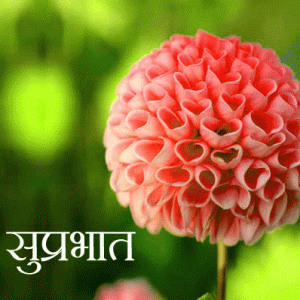 Suprabhat Good Morning Images Photo In Hindi