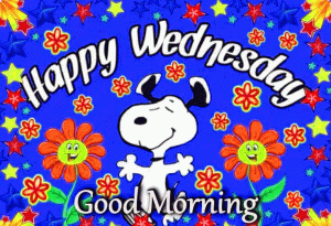 Wednesday Good Morning Images Pics Download For Whatsaap