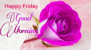 Friday Good Morning Images Photo pics With Flower
