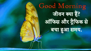 Butterfly HD Good Morning Wallpaper Download