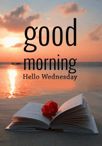 Wednesday Good Morning Photo Pictures Free Download