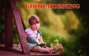 HD Good Morning Photo Pics Free download For Whatsaap 
