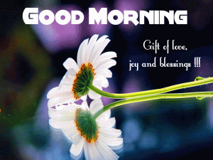 Tuesday Good Morning Photo pictures Download In HD