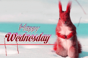 Wednesday Good Morning pics Images Wallpaper Download