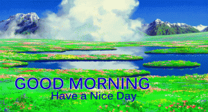 Wednesday Good Morning Photo Pics Free Download