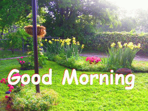 Spring Good Morning Image Photo pics Download