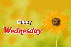 Wednesday Good Morning Images Download