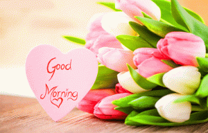 Flower Heart HD Good Morning Photo Pics Download