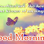 Butterfly Good Morning Images Photo pictures Download