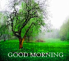 Rainy Day Good Morning Images