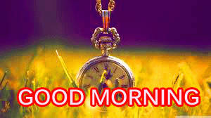 HD Wednesday Good Morning Pictures Free Download