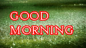 Rainy Day Good Morning Images Pictures Free Download