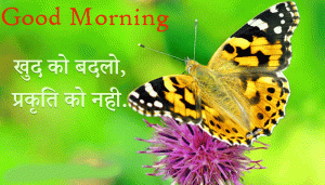 Butterfly Good Morning Pictures In Hindi