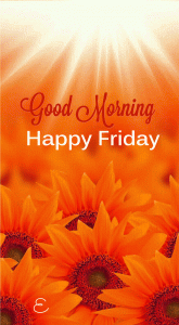 Friday Good Morning Images Pictures Free Download