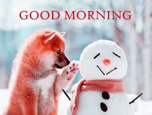 Puppy Dog Good Morning Photo Download For Whatsaap