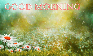 Rainy Day Good Morning Photo Images Wallpaper Download