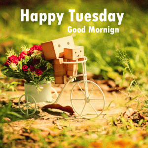 Tuesday Happy Good Morning Images Wallpaper Free Download