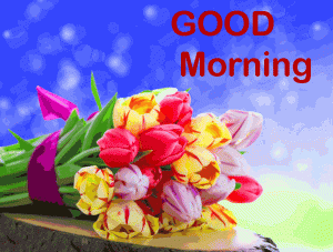 good morning have a nice day Images Photo Download
