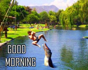 Best New Amazing Good Morning Photo Pictures For Whatsaap