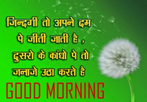Flower Good Morning Images With Hindi Quotes 