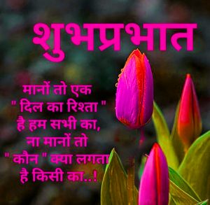 Hindi Quotes Flower Good Morning Photo In HD
