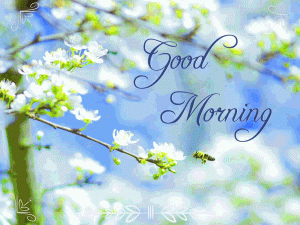 Good Morning Wishes Images Pictures Free Download