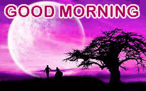 Free Good Morning Images Wallpaper For Whatsaap